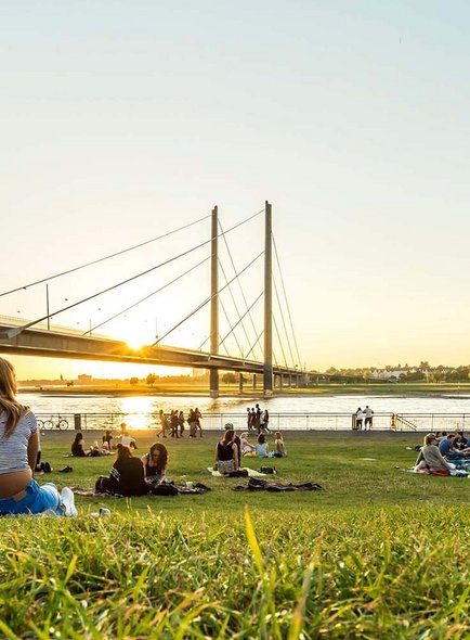 Groups of people sitting on a meadow by the Rhine river. In the background the sun is setting behind a bridge. 